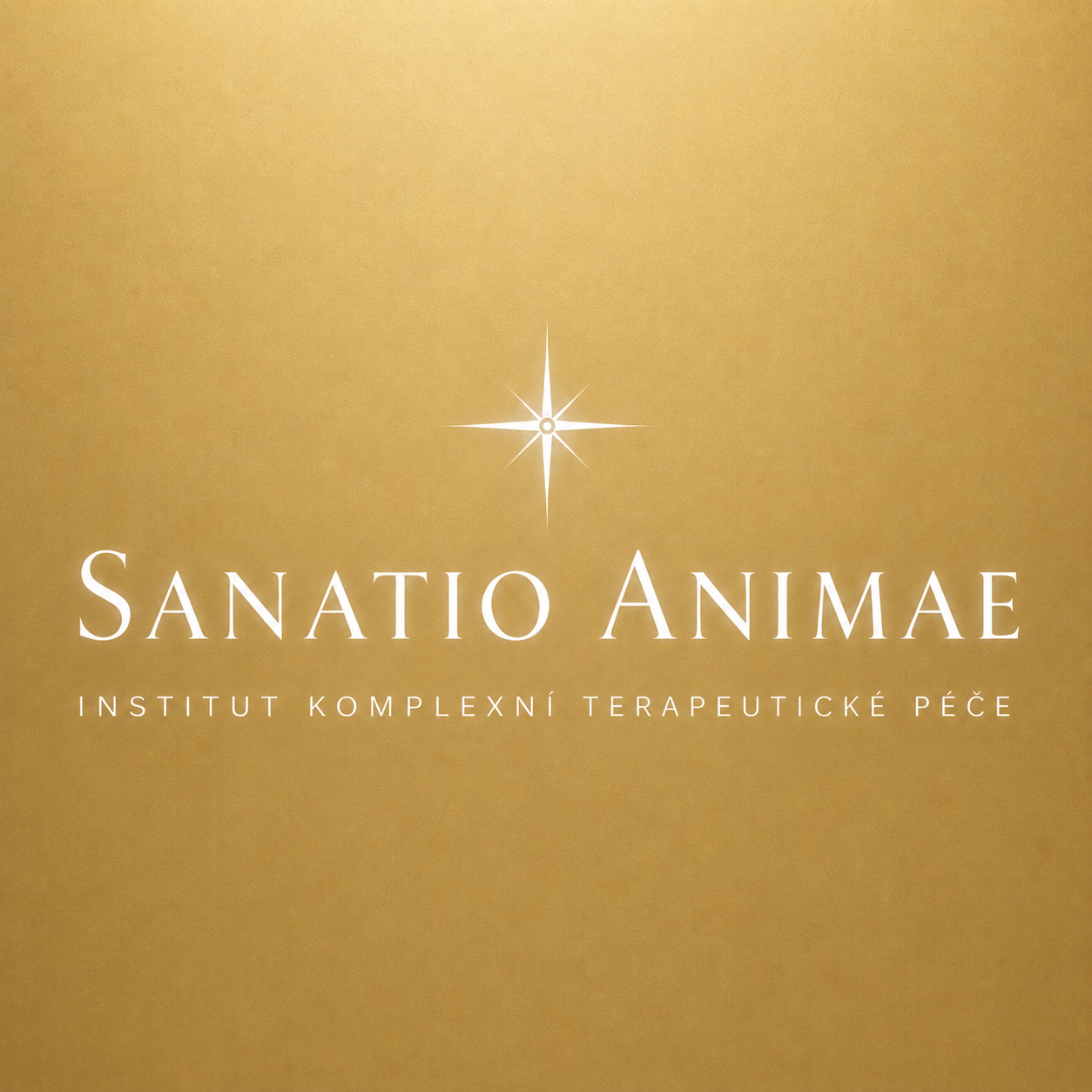SANATIO ANIMAE